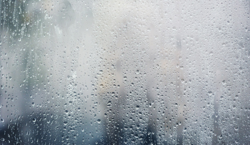 Adobestock 299070812